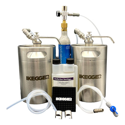 keg from beerdroid package - 2 x 5l stainless kegs and accessories