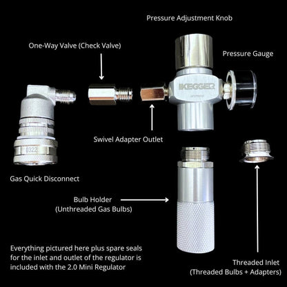 iKegger 2.0 |  Multi Gas Mini Regulator