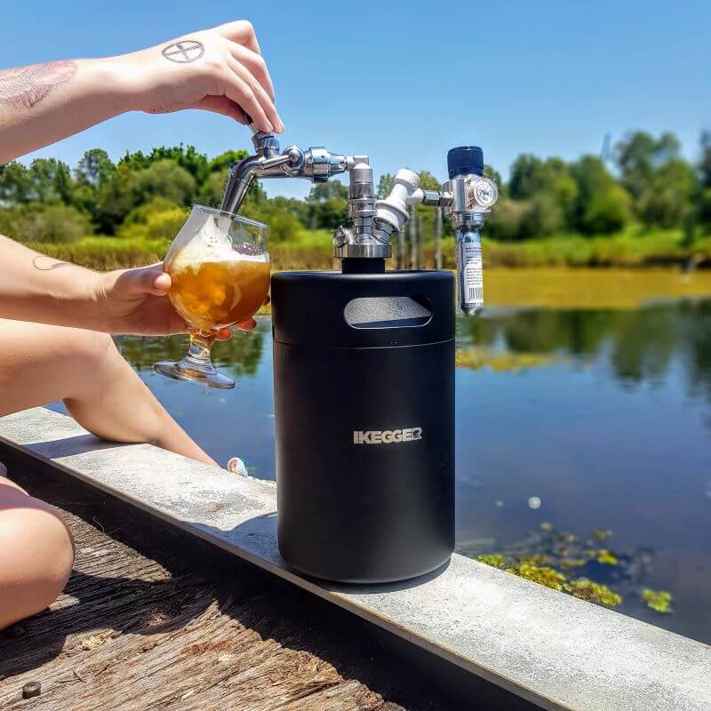 homebrew system portable mini keg