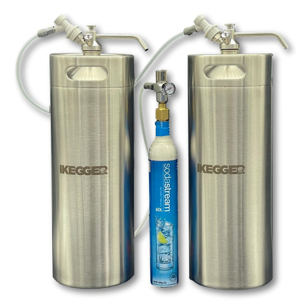 Mini Kegerator Kit 2 x 10L Kegs In Your Bar Fridge iKegger Australia