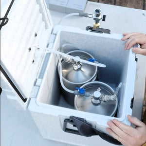 Inside the miracle box - 2 x 5l kegs and neat easy connections